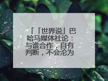 「世界说」巴哈马媒体社论：与谁合作，自有判断，不会沦为“权力游戏”