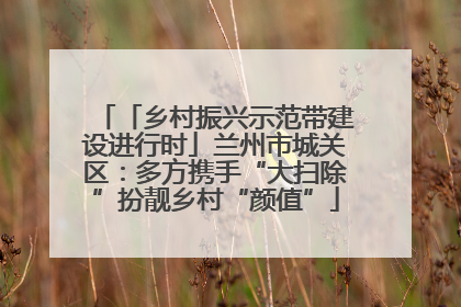 「乡村振兴示范带建设进行时」兰州市城关区：多方携手“大扫除”扮靓乡村“颜值”