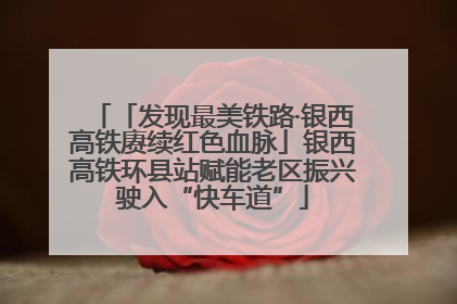 「发现最美铁路·银西高铁赓续红色血脉」银西高铁环县站赋能老区振兴驶入“快车道”