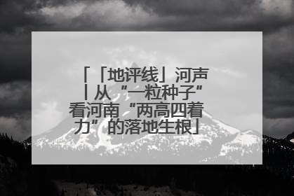 「地评线」河声丨从“一粒种子”看河南“两高四着力”的落地生根