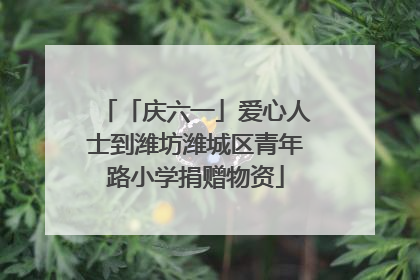「庆六一」爱心人士到潍坊潍城区青年路小学捐赠物资