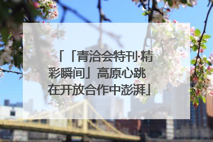 「青洽会特刊·精彩瞬间」高原心跳 在开放合作中澎湃
