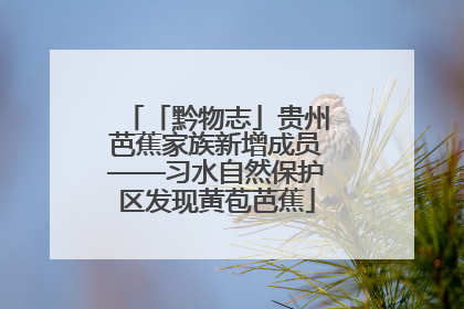 「黔物志」贵州芭蕉家族新增成员——习水自然保护区发现黄苞芭蕉