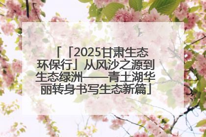 「2025甘肃生态环保行」从风沙之源到生态绿洲——青土湖华丽转身书写生态新篇