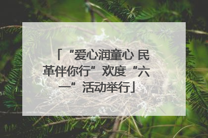 “爱心润童心 民革伴你行”欢度“六一”活动举行