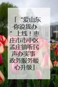 “爱山东·你说我办”上线！枣庄市市中区孟庄镇听民声办实事 政务服务暖心升级