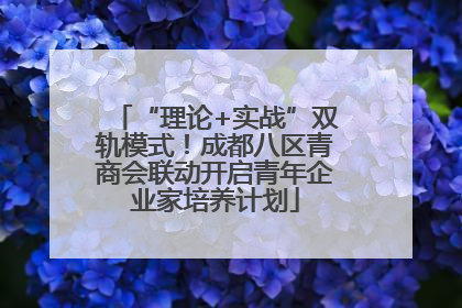 “理论+实战”双轨模式！成都八区青商会联动开启青年企业家培养计划