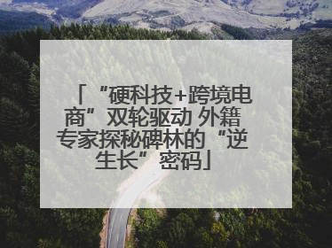 “硬科技+跨境电商”双轮驱动 外籍专家探秘碑林的“逆生长”密码