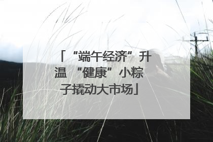 “端午经济”升温 “健康”小粽子撬动大市场