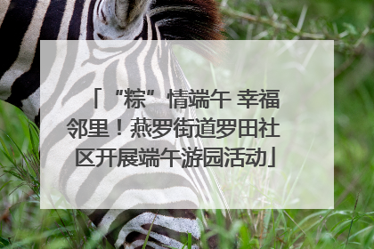“粽”情端午 幸福邻里！燕罗街道罗田社区开展端午游园活动
