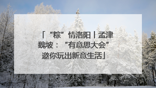 “粽”情洛阳丨孟津魏坡：“有意思大会”邀你玩出新意生活