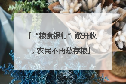 “粮食银行”敞开收，农民不再愁存粮
