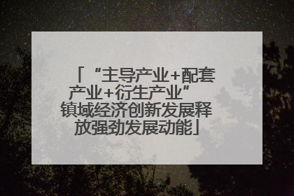 “主导产业+配套产业+衍生产业” 镇域经济创新发展释放强劲发展动能