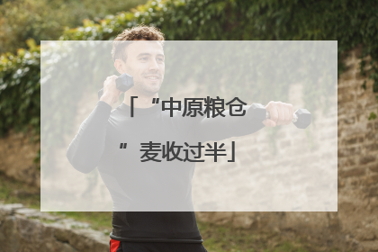 “中原粮仓”麦收过半