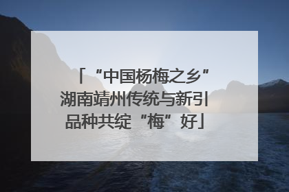 “中国杨梅之乡”湖南靖州传统与新引品种共绽“梅”好