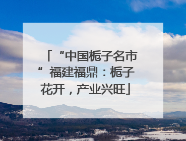 “中国栀子名市”福建福鼎：栀子花开，产业兴旺
