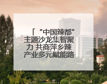 “中国辣都”主题沙龙集智聚力 共商萍乡辣产业多元赋能路径（图）