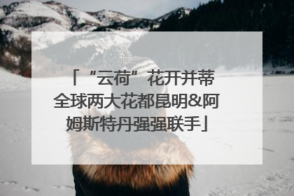 “云荷”花开并蒂 全球两大花都昆明&阿姆斯特丹强强联手