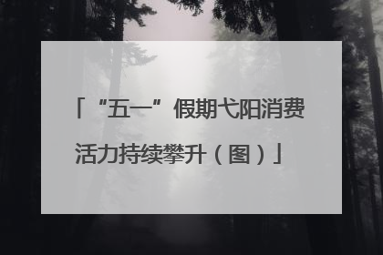 “五一”假期弋阳消费活力持续攀升（图）