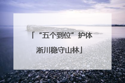 “五个到位”护体 淅川稳守山林