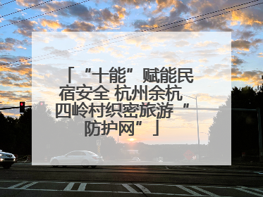 “十能”赋能民宿安全 杭州余杭四岭村织密旅游“防护网”
