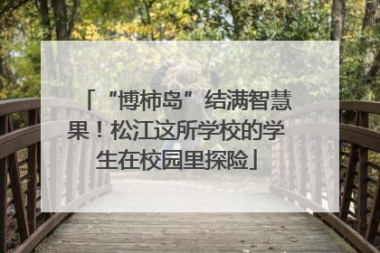 “博柿岛”结满智慧果！松江这所学校的学生在校园里探险