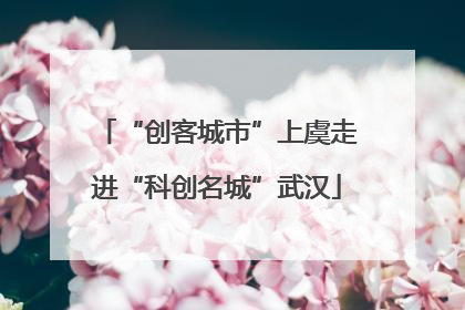 “创客城市”上虞走进“科创名城”武汉