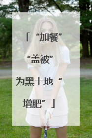 “加餐”“盖被” 为黑土地“增肥”