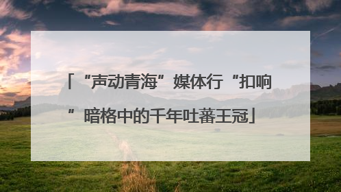 “声动青海”媒体行“扣响”暗格中的千年吐蕃王冠