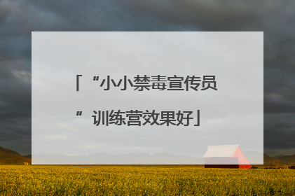 “小小禁毒宣传员”训练营效果好