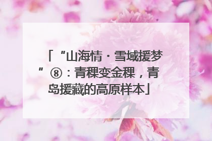 “山海情・雪域援梦”⑧：青稞变金稞，青岛援藏的高原样本