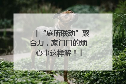 “庭所联动”聚合力，家门口的烦心事这样解！