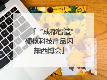 “成都智造”硬核科技产品闪耀西博会