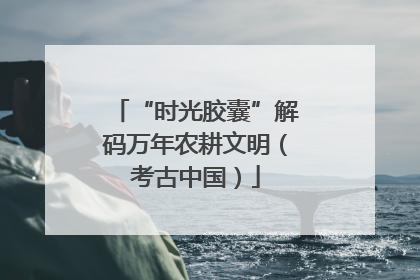 “时光胶囊”解码万年农耕文明（考古中国）