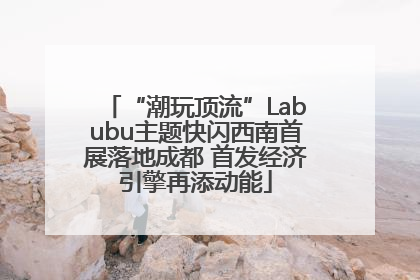 “潮玩顶流”Labubu主题快闪西南首展落地成都 首发经济引擎再添动能