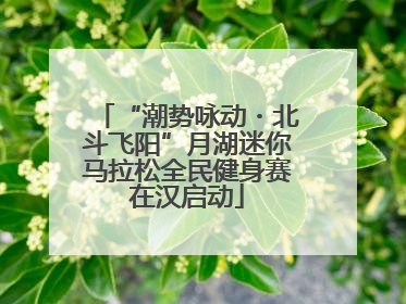 “潮势咏动・北斗飞阳”月湖迷你马拉松全民健身赛在汉启动