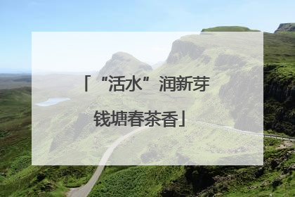 “活水”润新芽 钱塘春茶香
