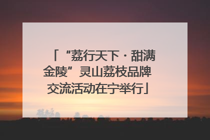 “荔行天下・甜满金陵”灵山荔枝品牌交流活动在宁举行