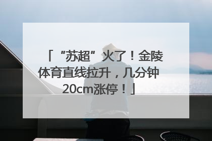“苏超”火了！金陵体育直线拉升，几分钟20cm涨停！