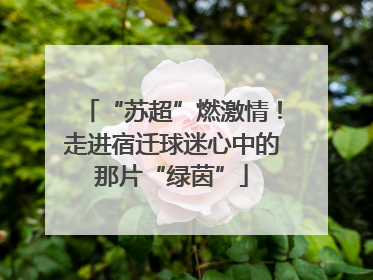 “苏超”燃激情！走进宿迁球迷心中的那片“绿茵”