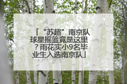 “苏超”南京队球星摇篮竟是这里？雨花实小9名毕业生入选南京队