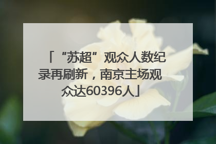 “苏超”观众人数纪录再刷新，南京主场观众达60396人