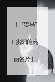 “贵马”！贵阳的亮丽名片