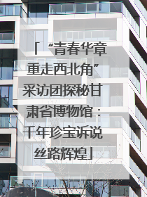 “青春华章重走西北角”采访团探秘甘肃省博物馆：千年珍宝诉说丝路辉煌