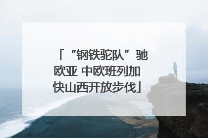 “钢铁驼队”驰欧亚 中欧班列加快山西开放步伐