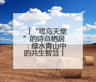“鹭鸟天堂”的诗意栖居：绿水青山中的共生智慧丨有一说一