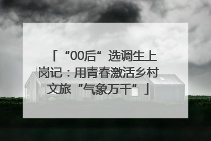 “00后”选调生上岗记：用青春激活乡村文旅“气象万千”