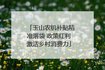 玉山农机补贴精准落袋 政策红利激活乡村消费力