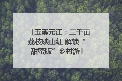 玉溪元江：三千亩荔枝映山红 解锁“甜蜜版”乡村游