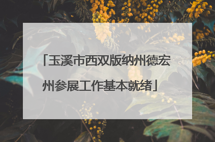 玉溪市西双版纳州德宏州参展工作基本就绪